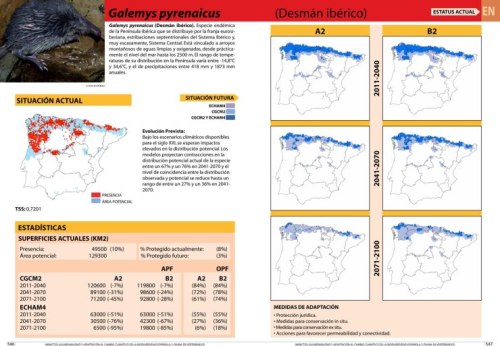 Galemys pyrenaicus desman des pyrenees cambio climatico global warming climate change 500
